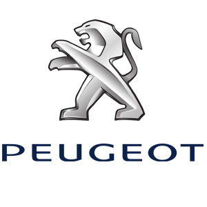 PEUGEOT LED TIPSKA SVETLA